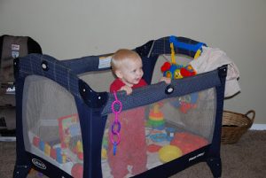 Read more about the article 