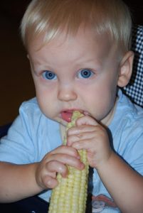 Read more about the article Corn on the COB eater!