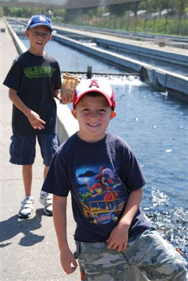 You are currently viewing Fish Hatchery