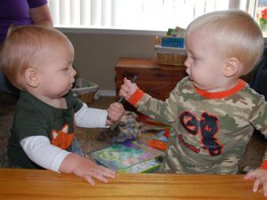 Read more about the article Luke and Matthew