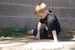 Read more about the article Marbles