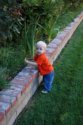 You are currently viewing picking a flower