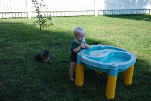 Read more about the article HOT DAYS