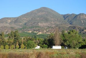 Read more about the article Mountians in Filmore!