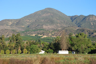 Read more about the article Mountians in Filmore!
