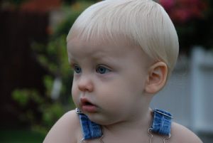 Read more about the article more of the 11 monther….