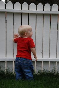 Read more about the article Fence