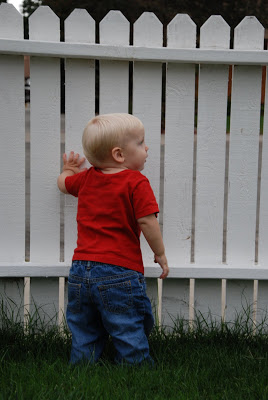 You are currently viewing Fence