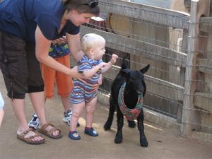 Read more about the article Disneyland Trip