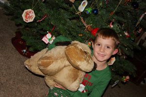 Read more about the article It’s a pillow, It’s a pet, its a PILLOW PET