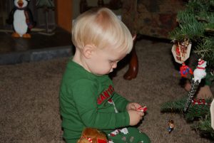 Read more about the article Decorating the tree