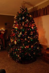 Read more about the article It’s beginning to look a lot like CHRISTMAS!!