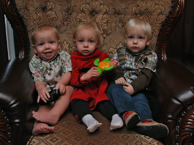 You are currently viewing THREE BABIES….getting big!