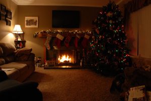 Read more about the article 