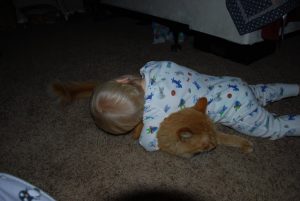 Read more about the article Loving on the Kitty