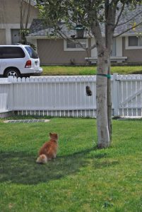 Read more about the article It’s SPRING TIME