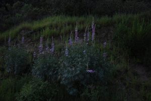 Read more about the article God’s Beauty!