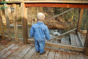 Read more about the article Cabin Trip 20011