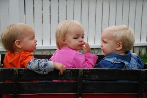 Read more about the article Three Little Buddies