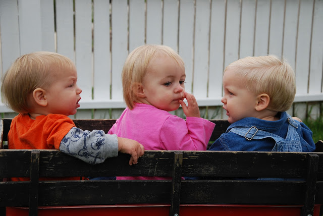 You are currently viewing Three Little Buddies