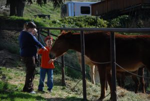 Read more about the article more cabin shots