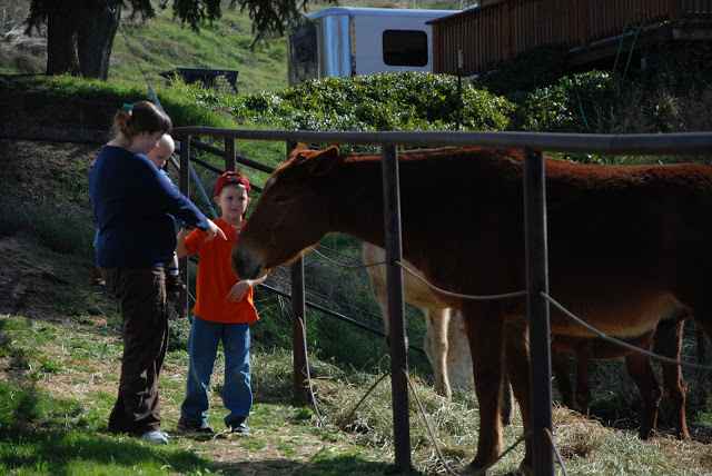You are currently viewing more cabin shots