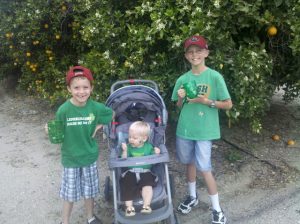 Read more about the article Happy St. Patricks Day