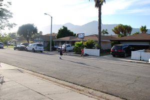 Read more about the article Basketball fun