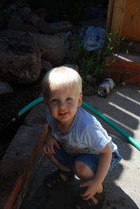 Read more about the article Growing like a weed.