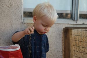 Read more about the article Our little helper……