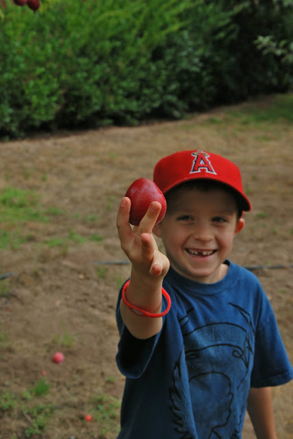 Read more about the article 