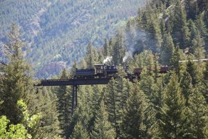 Read more about the article Train Loop