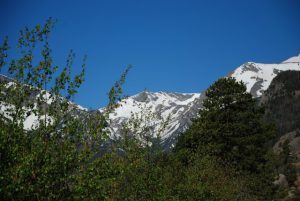 Read more about the article Rocky Mountain National Forrest