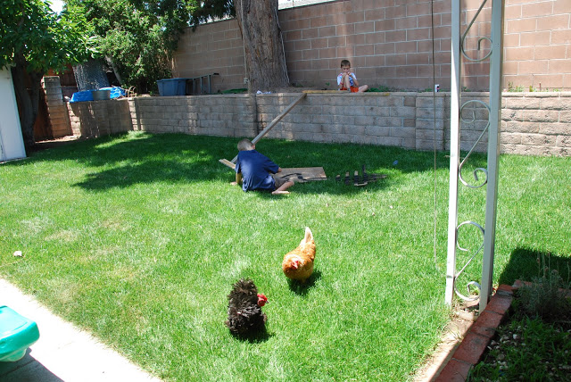 You are currently viewing Being creative