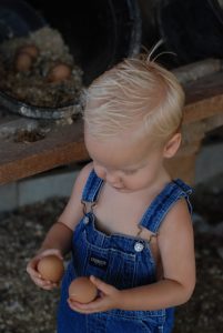 Read more about the article Photography Contest