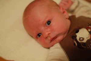 Read more about the article Everyday life at the Krafty Gang’s house…….