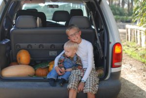 Read more about the article Pumpkin hunt…..