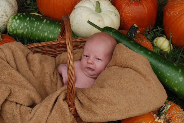 You are currently viewing Our littlest PUMPKIN