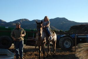 Read more about the article Annual Hayride with the Holladay’s and Lillviks!