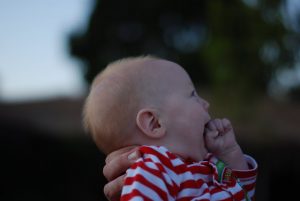 Read more about the article Mr. Little RED