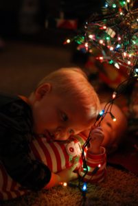 Read more about the article Best of buds