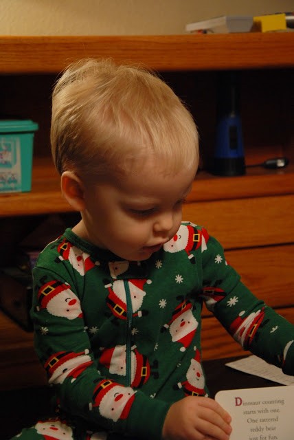 You are currently viewing No Dino pictures in the Bible?!