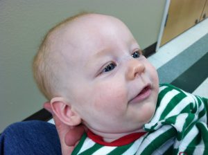 Read more about the article Little RED HEAD