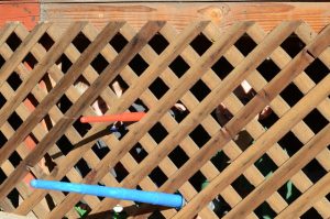 Read more about the article Nope, its not COLD here today…..