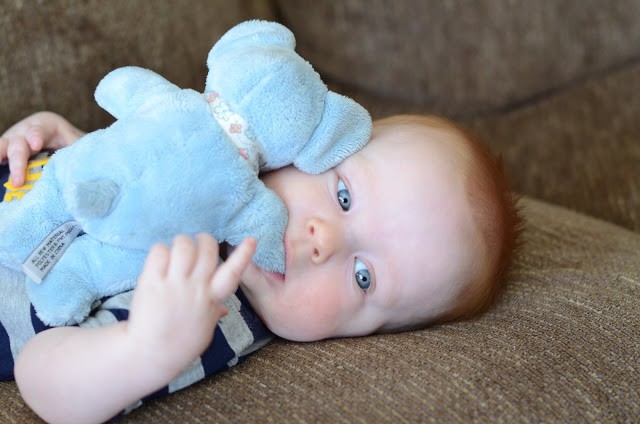 You are currently viewing Gideon Update.