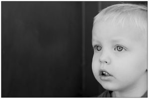 Read more about the article 