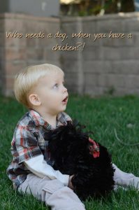 Read more about the article 