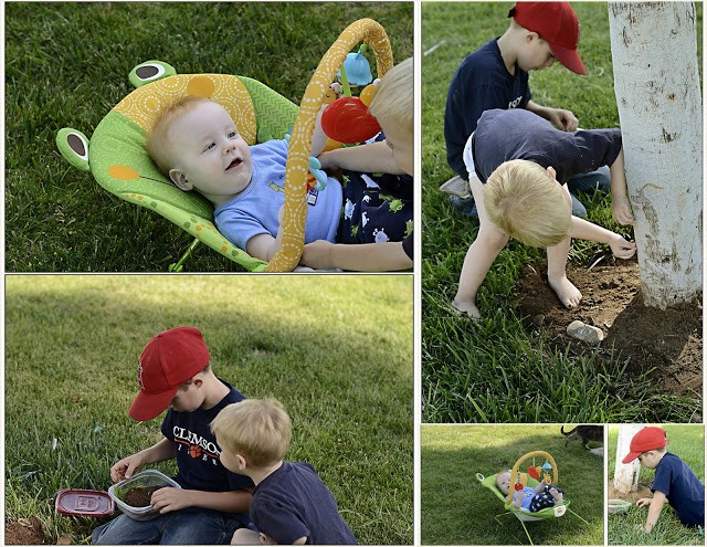 You are currently viewing Bugs, snails and puppy dog tails…. that’s what boys are made of….