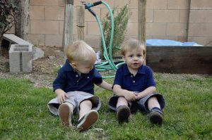 Read more about the article The hunt