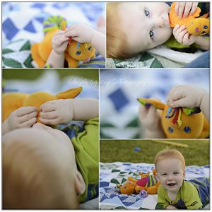 Read more about the article 